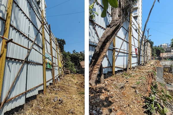 Structural Alignment